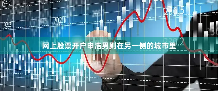 网上股票开户申浩男则在另一侧的城市里